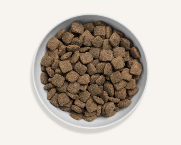 Canagan karma sucha dla psa - Naturalna jagnięcina - 2 kg